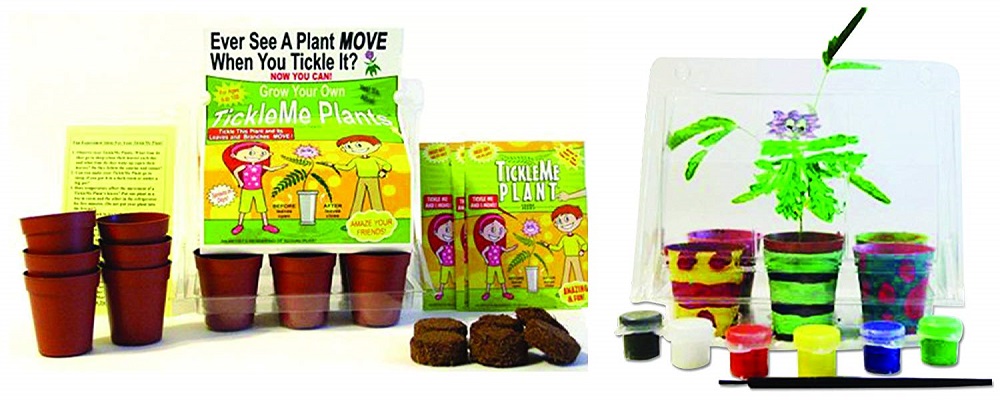 TickleMe Plant Deluxe Greenhouse Kit with 6 Color Paint Set for Kids #TickleMePlant