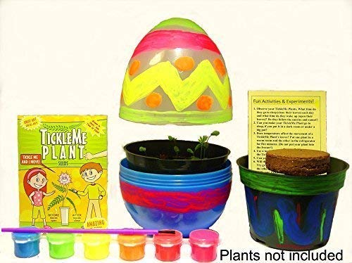 TickleMe Plant Easter Egg Terrarium with Paint Set! Paint This Large 6 inch Egg and Grow The Plants Inside. The Leaves Close up When Tickled. It can Produce Sparkling Pink Flowers! #TickleMePlant