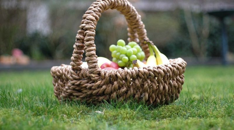 12 Days of Picnic Ideas