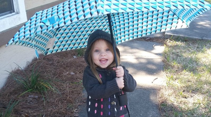 Enter to Win the Rain Rain Go Away Giveaway!