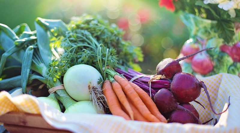 Try AmazonFresh! Get Your Free Trial