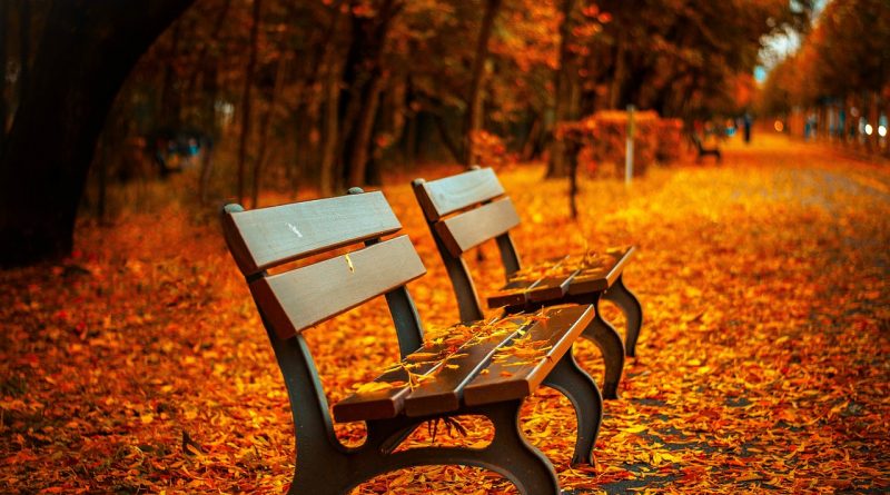 September to Remember Family Fun