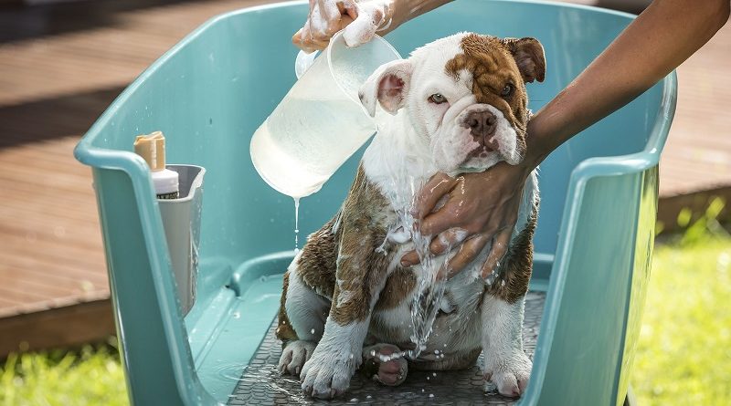 Oakwood Products Pet Care Prize