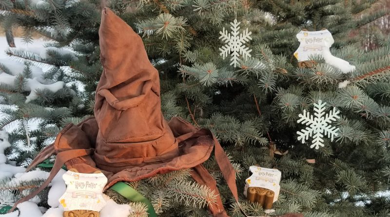 Harry Potter Sorting Hat and Surprise Toy