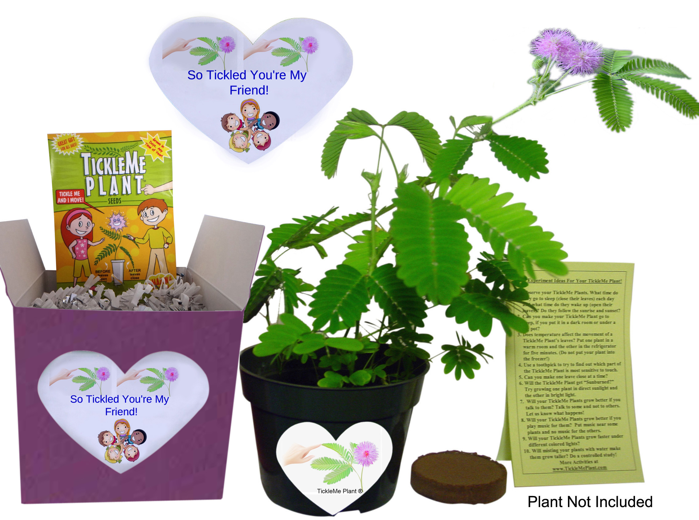 TickleMe Plant Galentine's Day Gift